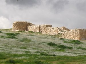 Tel Arad city wall